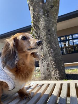 ママを待つぼく