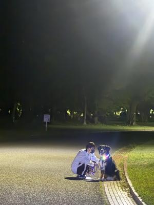 夜のおさんぽ、ふたりで