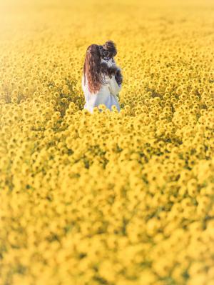 幸せのまんなか