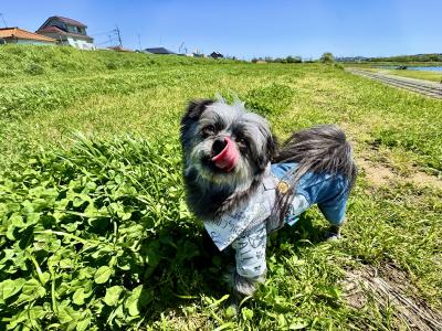 春風に誘われて
