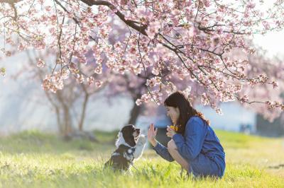 桜の下でおやつタイム