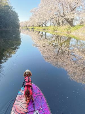 リフレクション