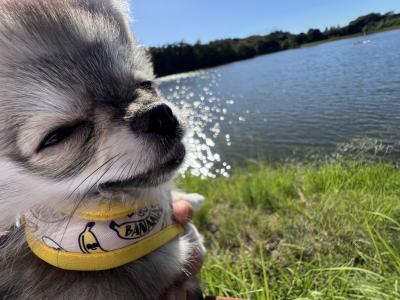 春の日差しが眩しいぜ！