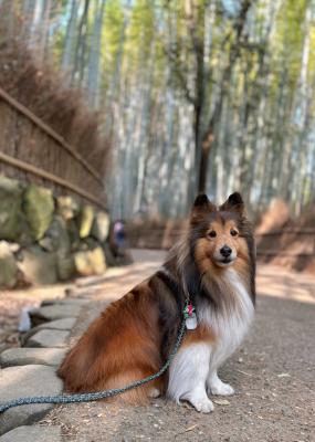 めっちゃ人がいる～！