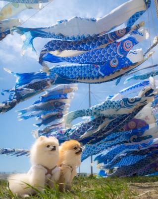 青い空へのメッセージ