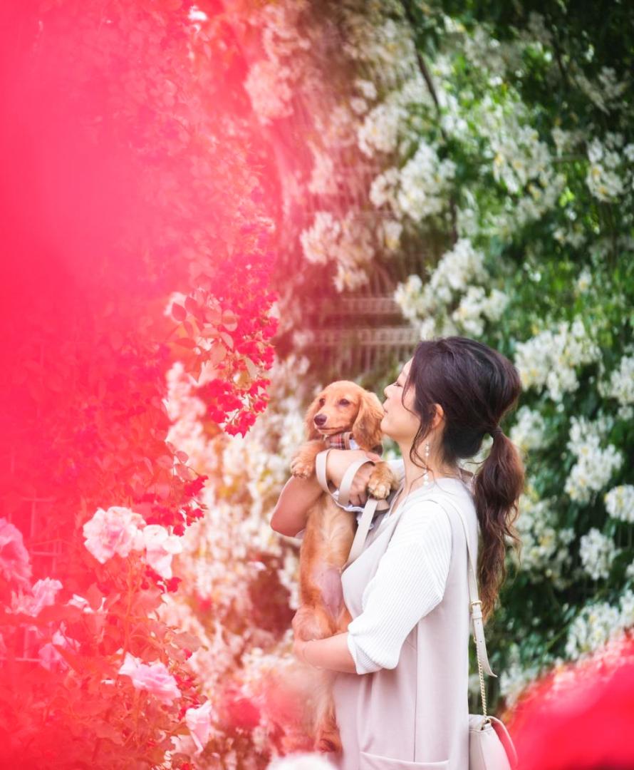 薔薇に囲まれて