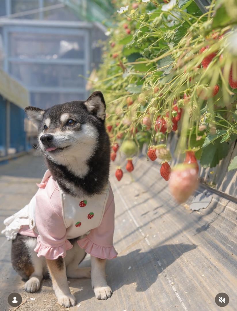 「これ全部食べていいの？」