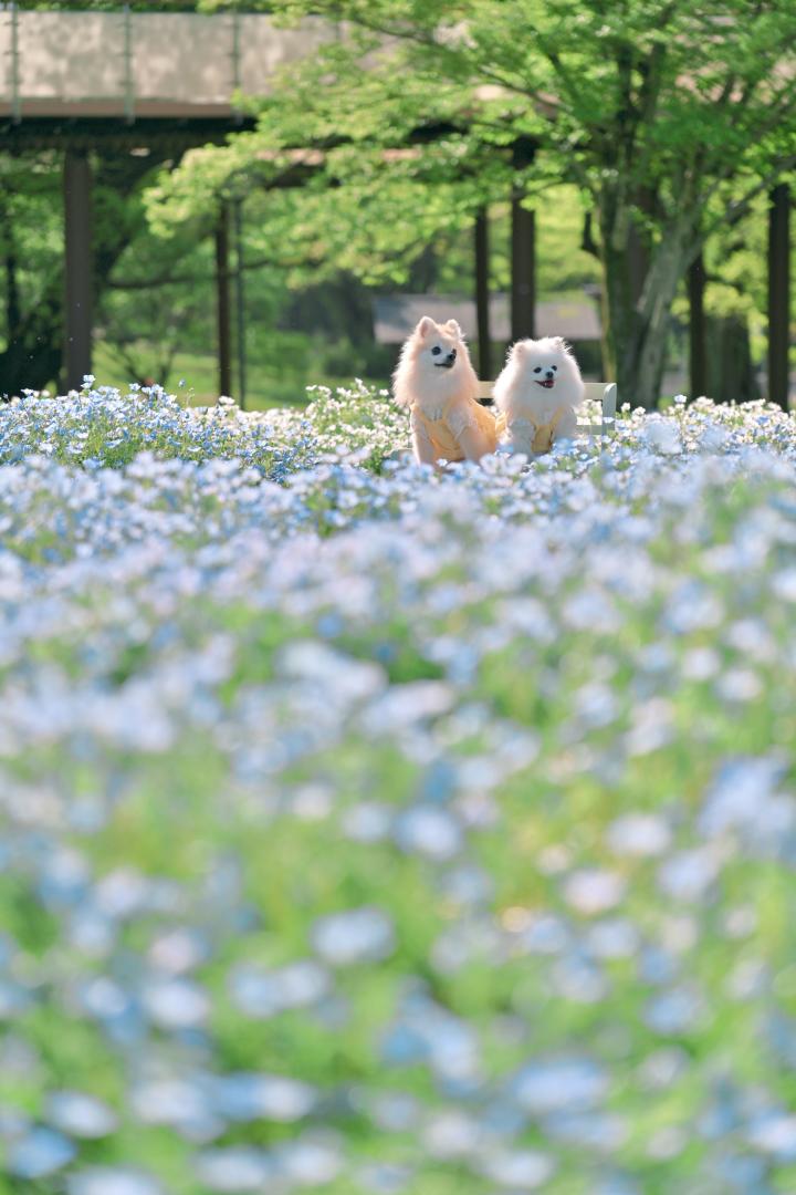 光に包まれた小さな主役