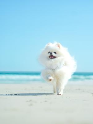 ラムネ色の空の下で