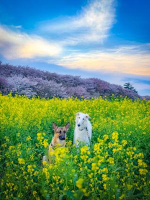 私達だけの世界