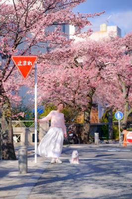 一足早い、春の訪れ