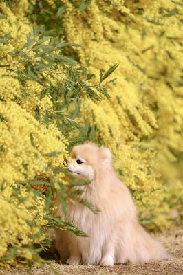 いい香りだなぁ