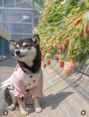 「これ全部食べていいの？」