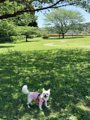 新緑の中で