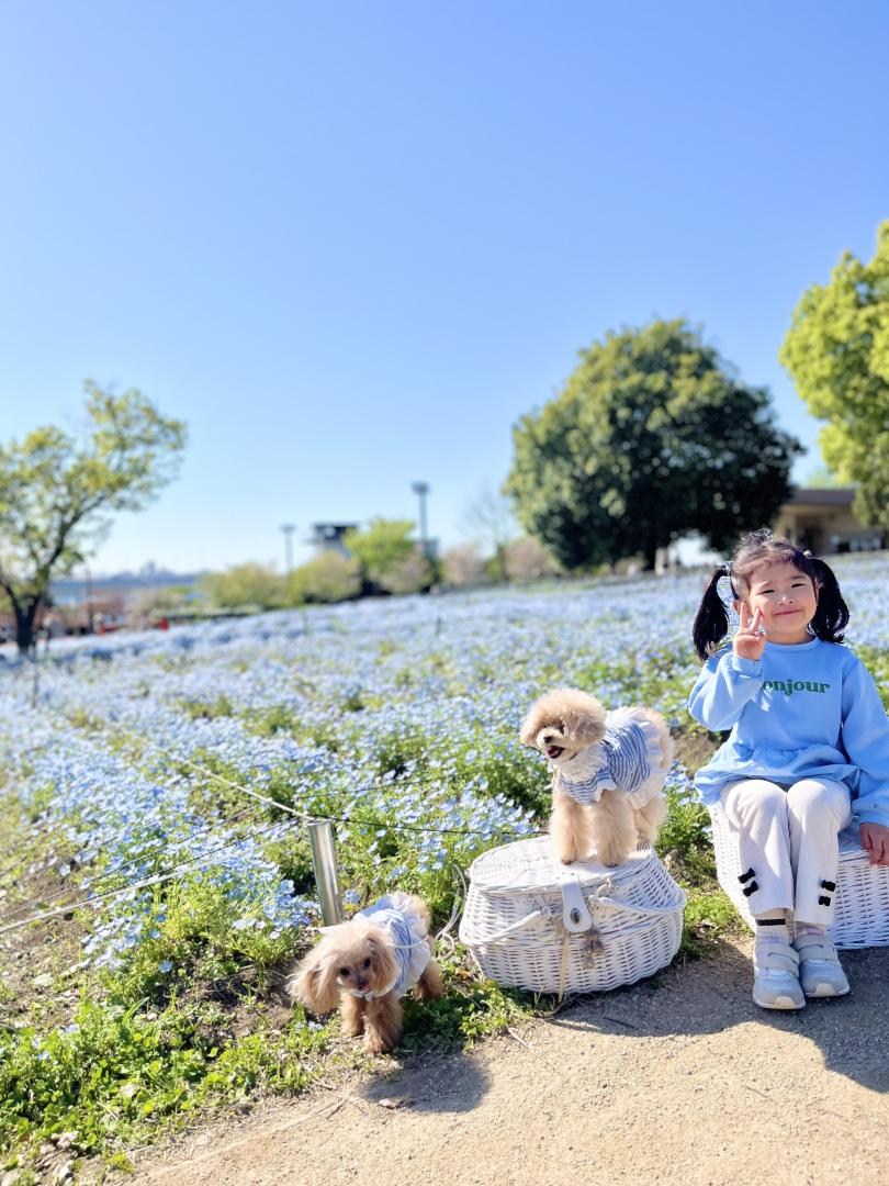 ネモフィラの世界を満喫した日