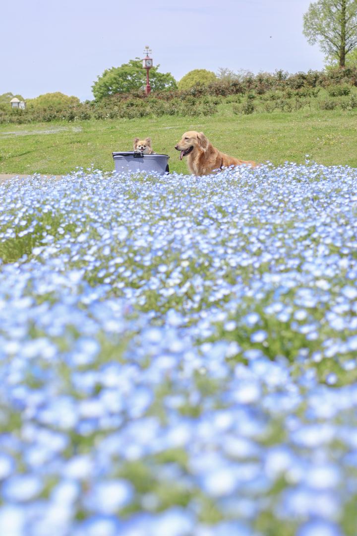 何話してるの？