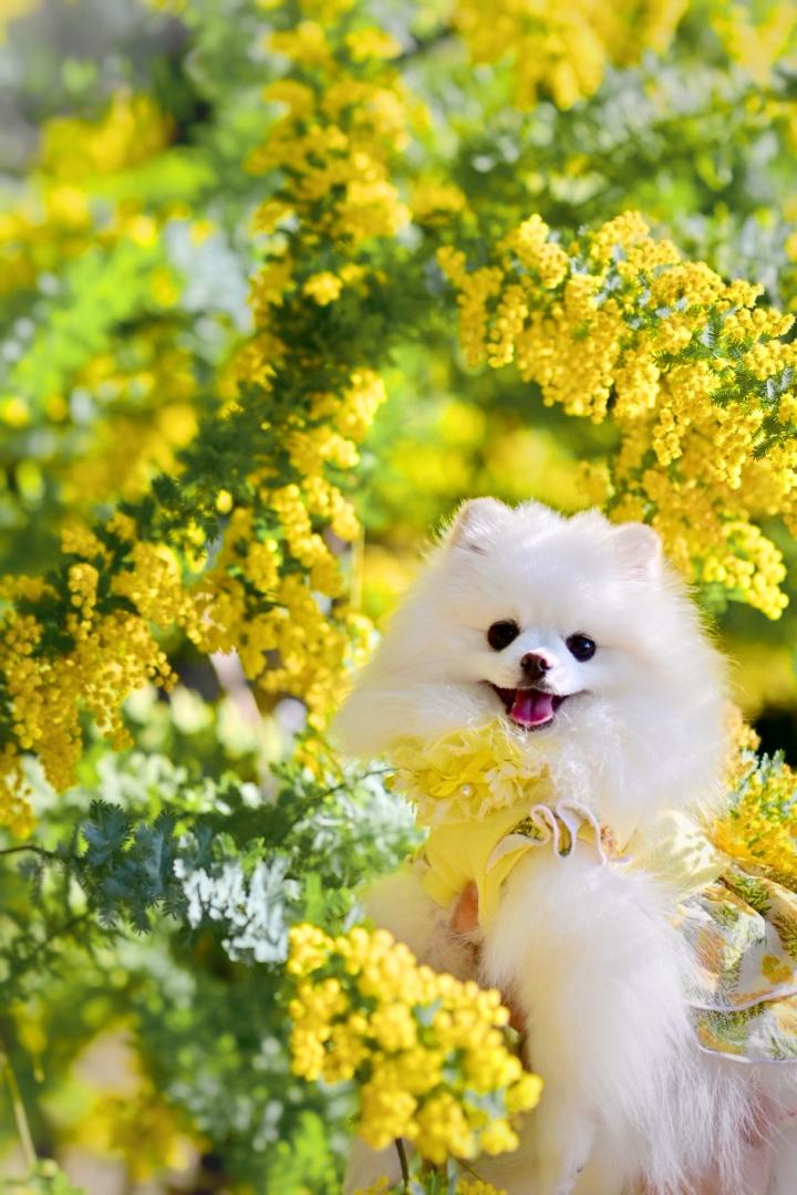 春色のワンシーン