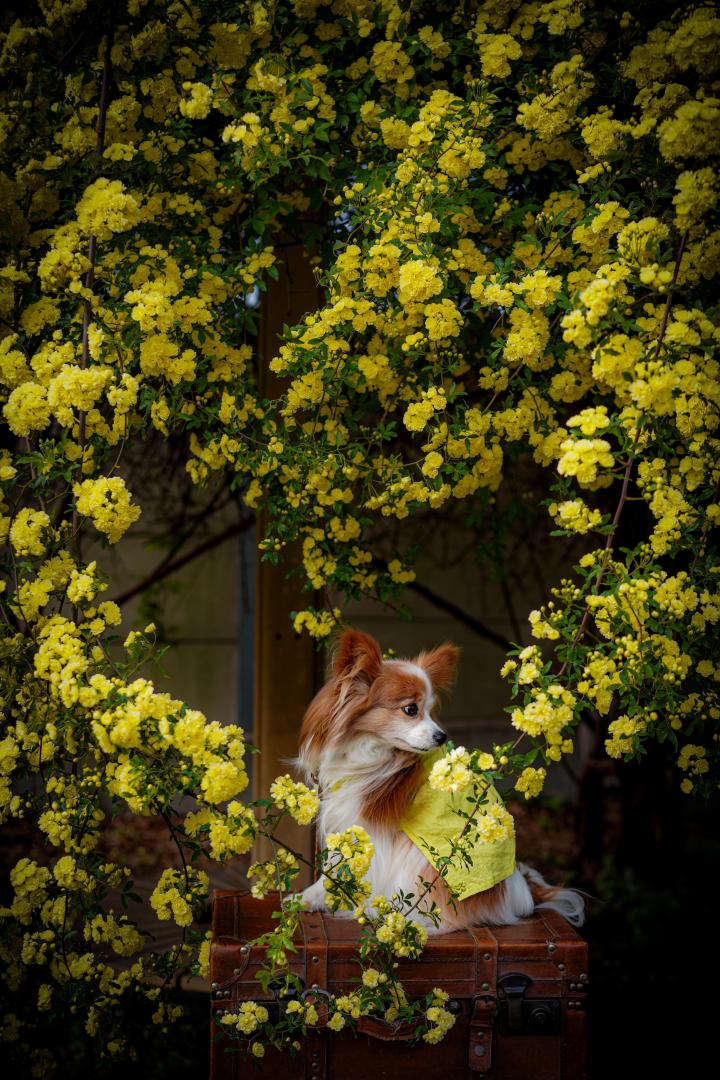 ハートに包まれて