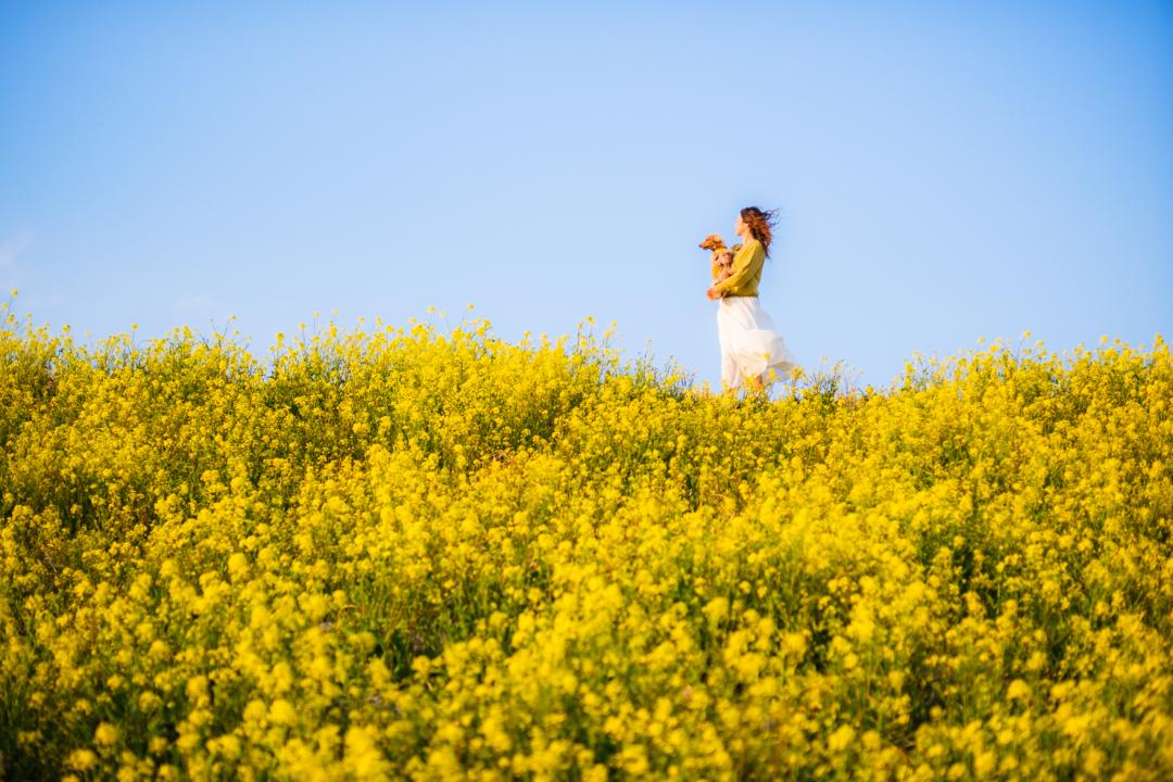 菜の花の上で