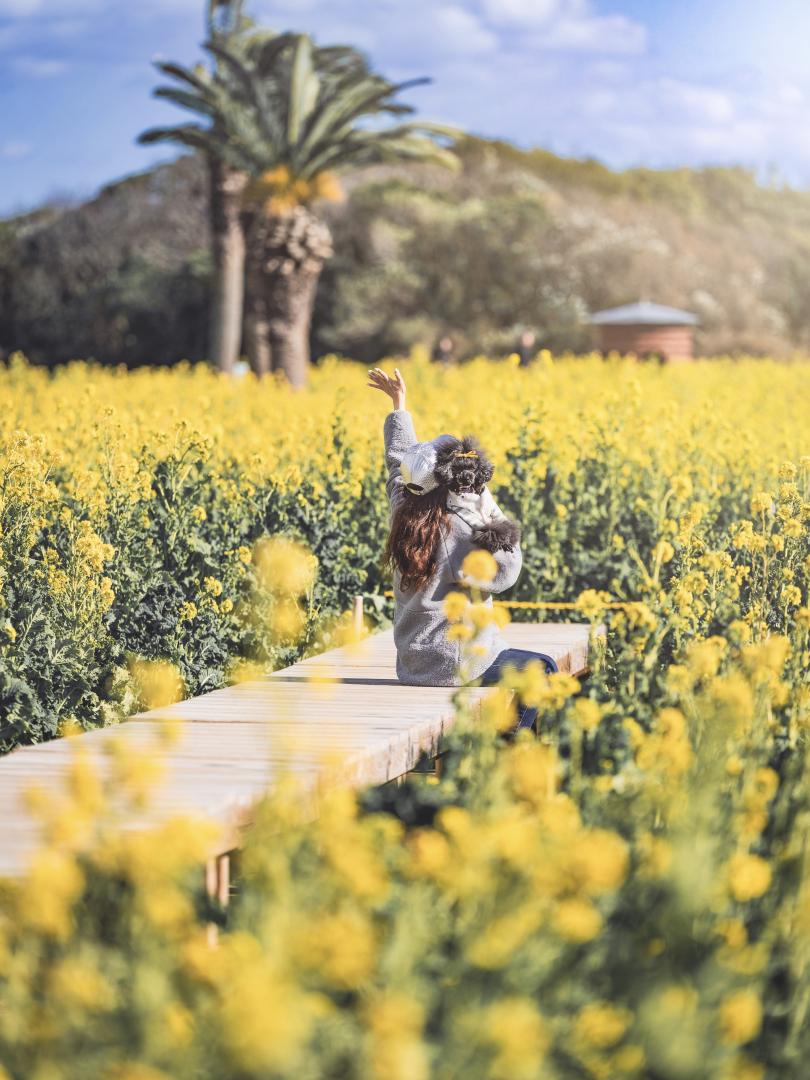 春に手をのばして