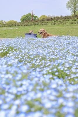 何話してるの？