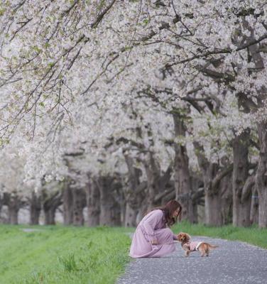 桜並木でおしゃべり