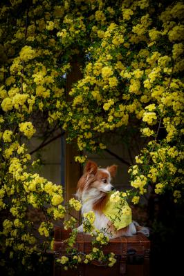 ハートに包まれて