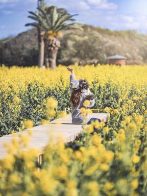 春に手をのばして