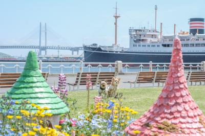 山下公園の花壇展
