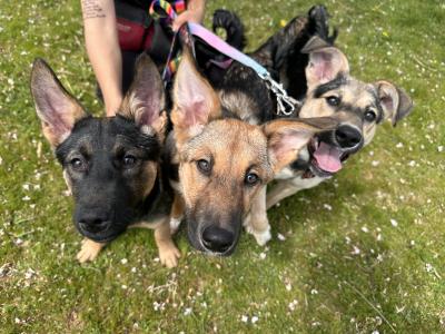 ぽかぽかお散歩日和