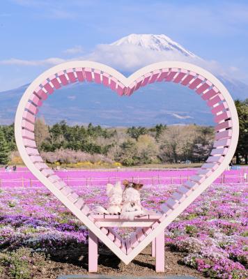 Mt. ふじー