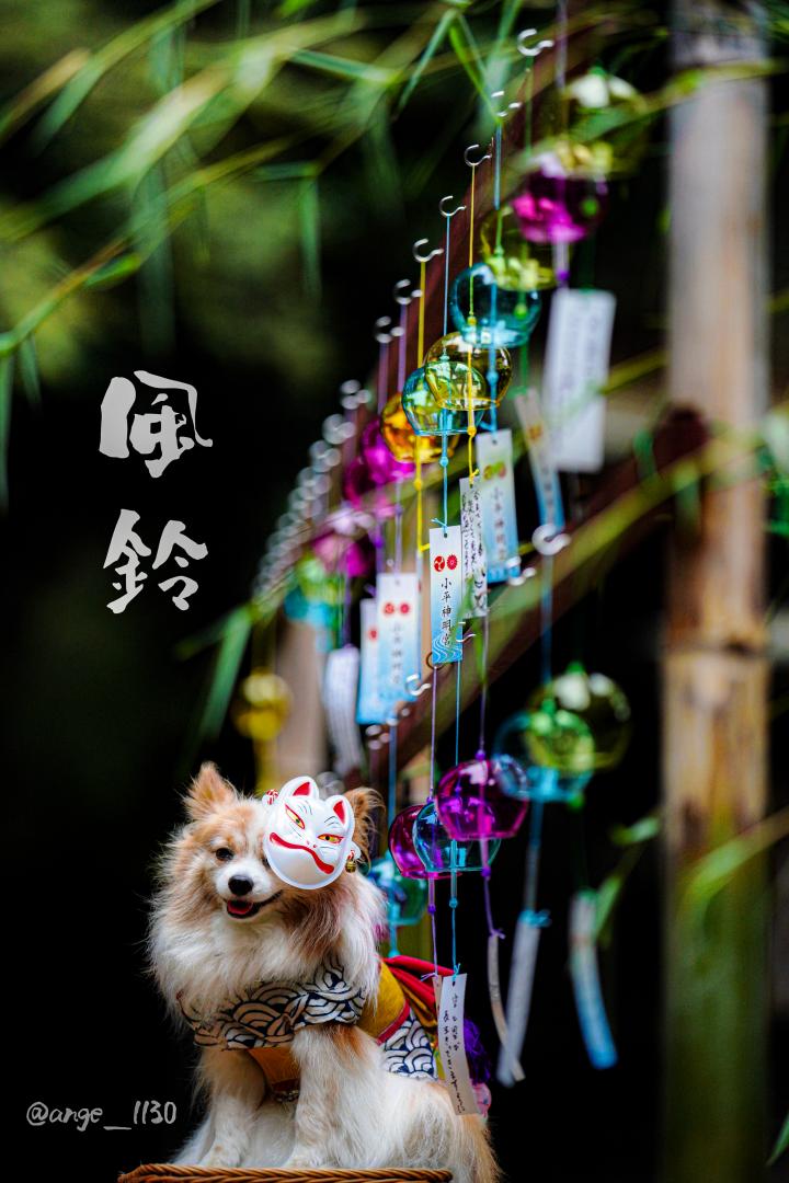 風鈴神社