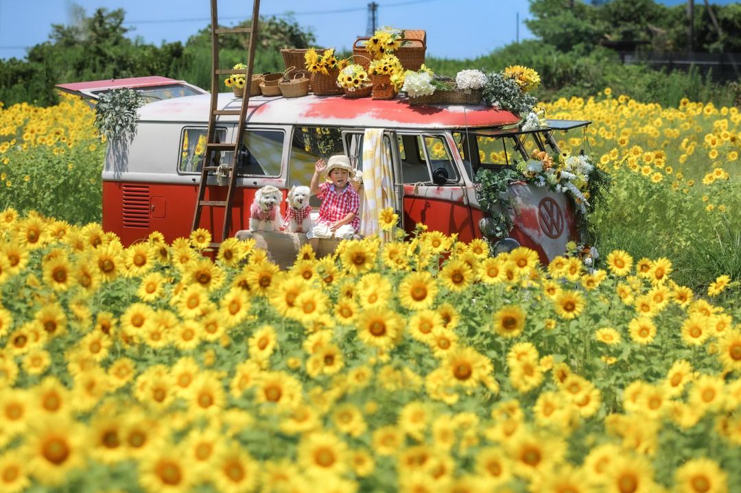 ひまわり畑でハイチーズ✌️