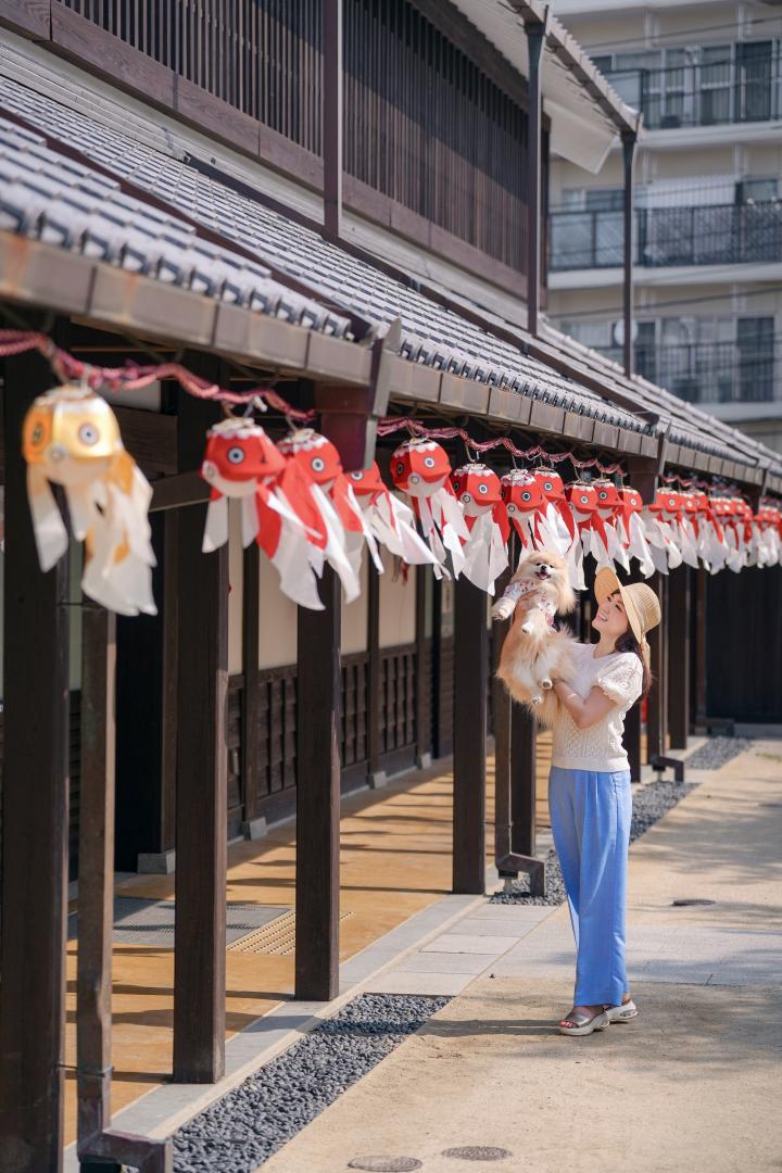 金魚の提灯