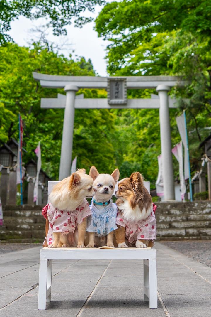 ～夏の恋～三角関係