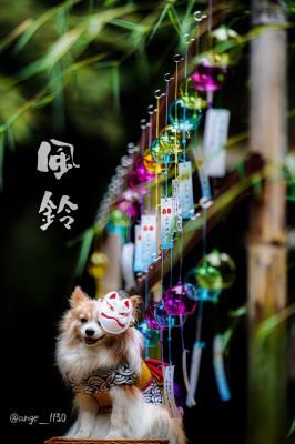 風鈴神社