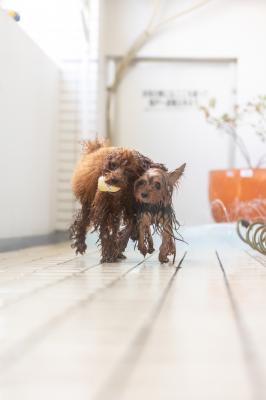 みずあそび