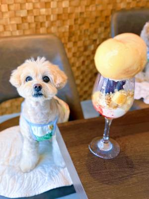 ももともこ