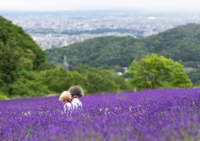 ラベンダー畑からの景色