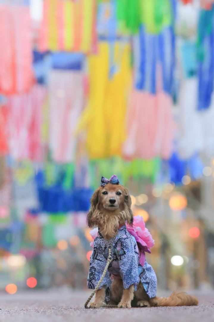 七夕祭り