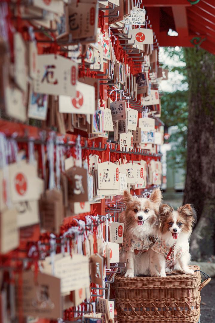 絵馬