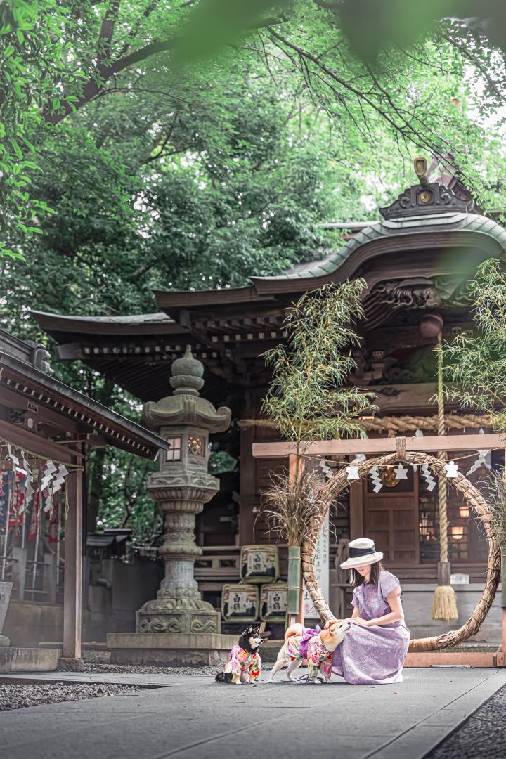 夏詣