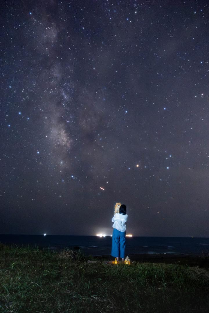 夏夜の夢