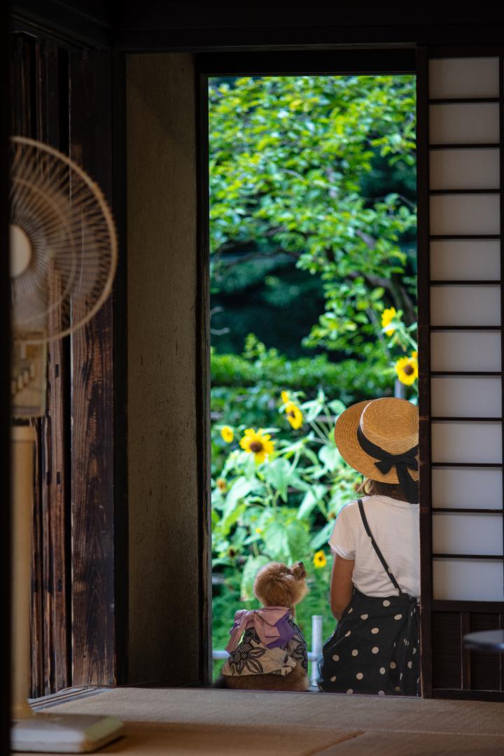 日本の夏2026