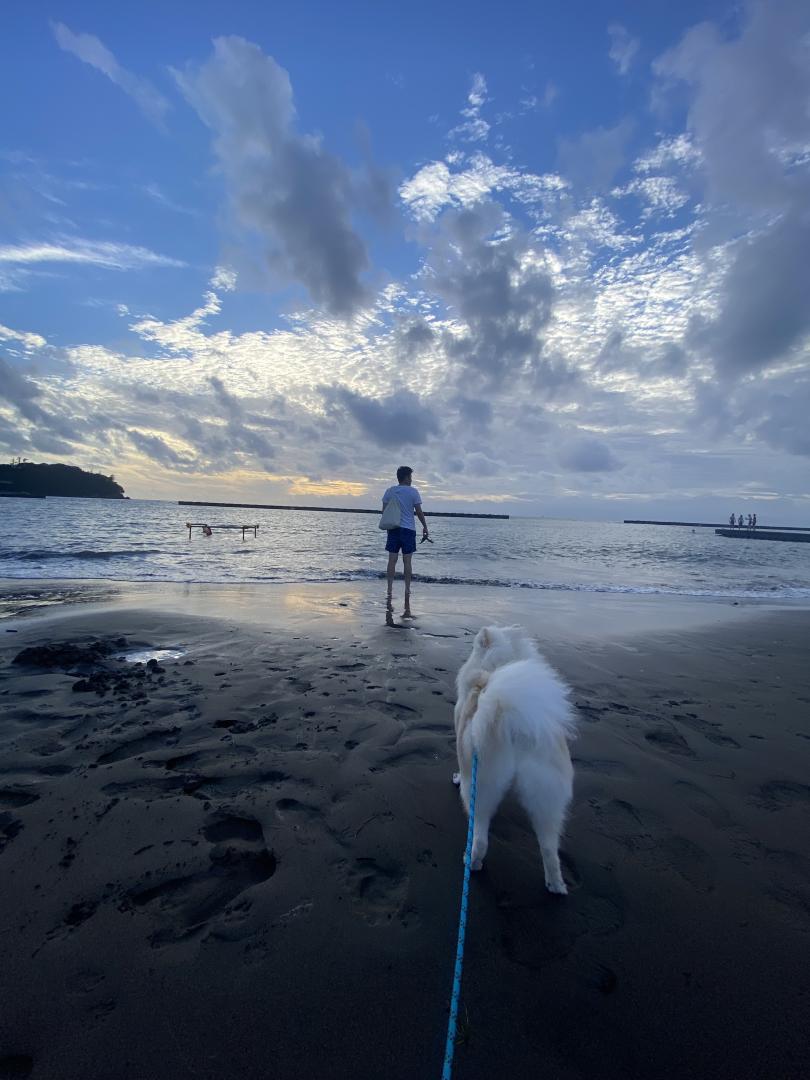 初めての海
