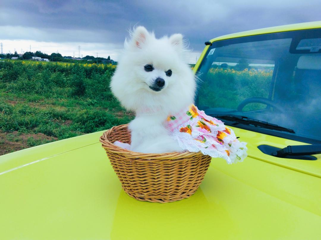 夏色
