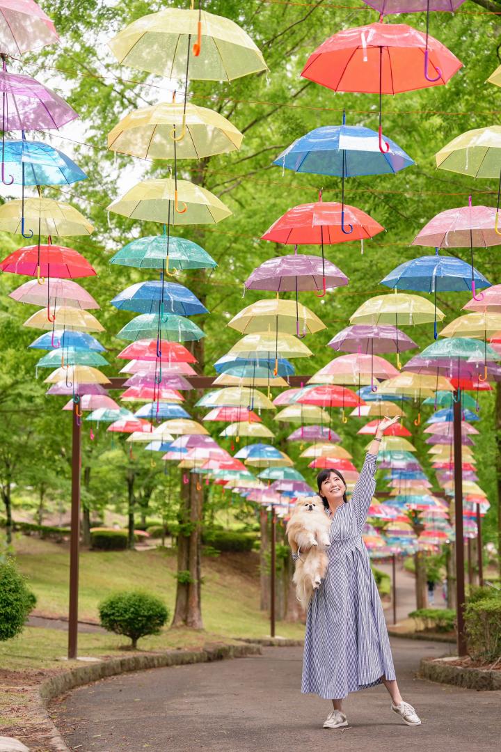 Over the rainbow 