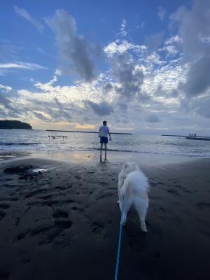初めての海