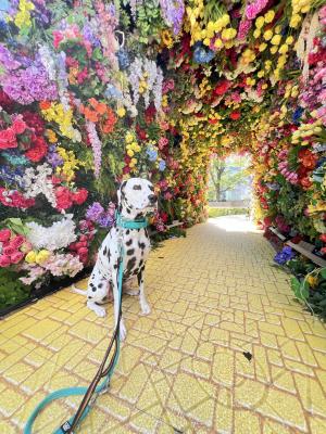 都会の真ん中で出会った、花に包まれた小さな楽園。