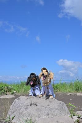 涼しいゾー！